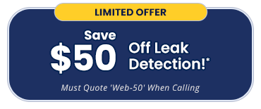 Special Discount
